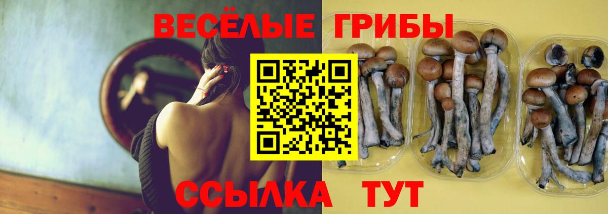 Ялуторовск  Галлюциногенные грибы Cubensis  Псилоцибиновые грибы Cubensis  Вход с VPN 